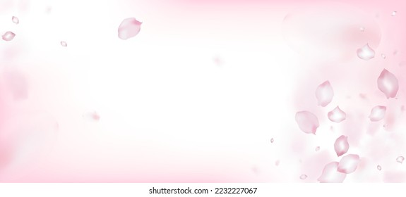 Cherry Sakura Petals Confetti. Beautiful Premium Tender Pattern. Windy Leaves Confetti Border. Blooming Cosmetics Ad Noble Flower Background. Falling Japanese Cherry Sakura Rose Petals Banner.