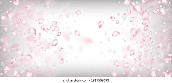 Cherry Sakura Petals Confetti. Cosméticos Florecientes Y Fondo Floral Femenino. Windy Deja La Frontera Confetti. Hermosa textura de licitación premium. Cartel de los Pétalos de rosa de cerezo Sakura.