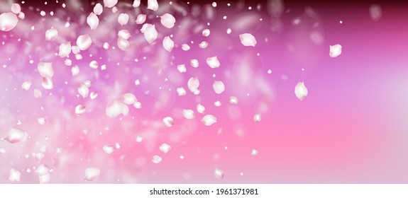 Cherry Sakura Petals, Confetti. Blooming Cosmetics Ad Noble Floral Background. Female Rich VIP Watercolor Pattern. Windy Leaves Confetti Banner. Falling Japanese Cherry Sakura Rose Petals Border.
