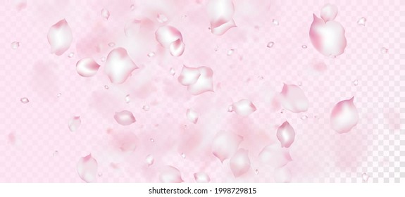 Cherry Sakura Petals Confetti. Blooming Cosmetics Ad Noble Floral Background. Falling Japanese Rose Cherry Sakura Petals Banner. Elegant Rich VIP Magic Pattern. Windy Leaves Confetti Frame.