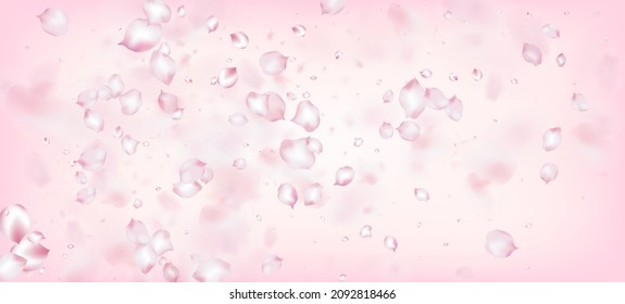 Cherry Sakura Petals Confetti. Blooming Cosmetics Ad Noble Flower Background. Flying Japanese Sakura Cherry Rose Petals Poster. Beautiful Premium Tender Texture. Windy Leaves Confetti Border.