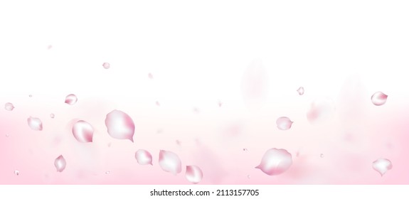 Cherry Sakura Petals Confetti. Blooming Cosmetics Ad Female Flower Background. Falling Japanese Rose Sakura Cherry Petals Poster. Windy Leaves Confetti Design. Beautiful Premium Magic Pattern.