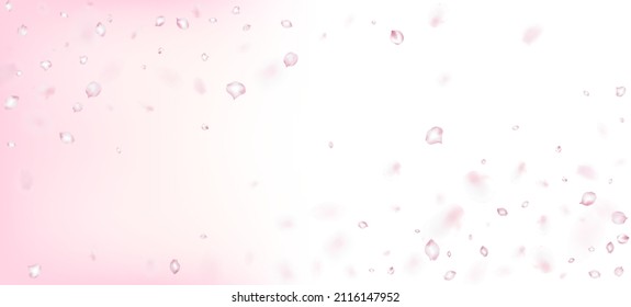 Cherry Sakura Petals Confetti. Cosméticos Florecientes Y Fondo De Flor Elegante. Windy Deja La Frontera Confetti. Diseño de Pétalos de cerezo de rosa japonés volador Sakura. Textura de color de agua premium noble.