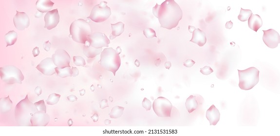 Cherry Sakura Petals Confetti. Blooming Cosmetics Ad Female Floral Background. Noble Premium Magic Pattern. Falling Japanese Cherry Rose Sakura Petals Design. Windy Leaves Confetti Frame.