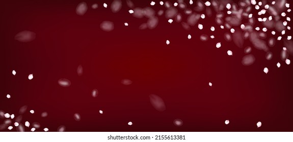 Cherry Sakura Petals Confetti. Blooming Cosmetics Ad Beautiful Floral Background. Windy Leaves Confetti Banner. Noble Rich VIP Watercolor Texture. Flying Japanese Rose Cherry Sakura Petals Border.