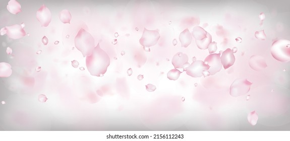 Cherry Sakura Petals Confetti. Blühende Kosmetik und eleganter floraler Hintergrund. Windy Leaves Confetti Design. Noble Premium Tender Muster. Fallende japanische Rose Kirsche Sakura Petals Border.