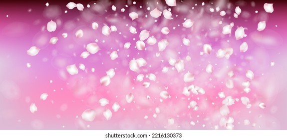 Cherry Sakura Petals Confetti. Blooming Cosmetics Ad Beautiful Floral Background. Elegant Premium Tender Texture. Flying Japanese Sakura Cherry Rose Petals Banner. Windy Leaves Confetti Frame.