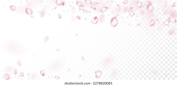 Cherry Sakura Petals Confetti. Blooming Cosmetics Ad Noble Floral Background. Falling Japanese Rose Cherry Sakura Petals Banner. Windy Leaves Confetti Frame. Elegant Premium Tender Pattern.