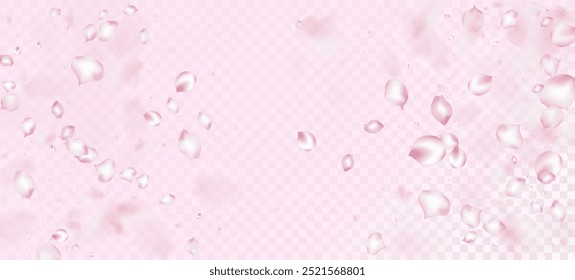 Confeti de pétalos de cereza Sakura. Cosméticos En Flor Y Fondo Floral Noble. Diseño de confeti de hojas ventosas. Anuncio japonés de pétalos de cereza Sakura Rose. Elegante patrón tierno VIP rico.