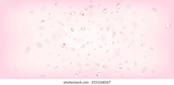 Cherry Sakura Petals Confetti. Blooming Cosmetics Ad Elegant Flower Background. Windy Leaves Confetti Frame. Female Rich VIP Magic Pattern. Falling Japanese Cherry Sakura Rose Petals Banner.