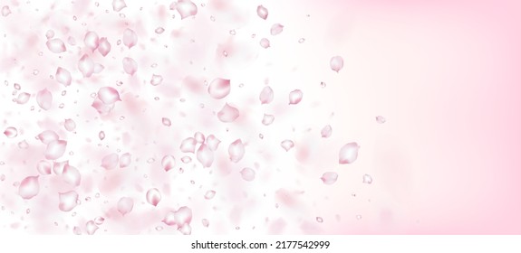 Cherry Sakura Petals Confetti. Elegante, reiche VIP Magic Textur. Blühende Kosmetik und floraler Hintergrund. Windy Leaves Confetti Design. Fallend japanische Kirsche Rose Sakura Petals Banner.
