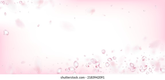 Cherry Sakura Petals Confetti. Elegant Rich VIP Pastel Texture. Falling Japanese Cherry Sakura Rose Petals Design. Blooming Cosmetics Ad Beautiful Floral Background. Windy Leaves Confetti Frame.