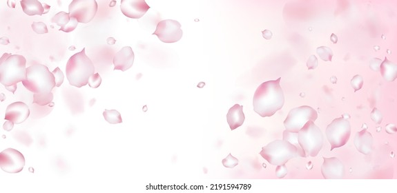 Cherry Sakura Petals Confetti. Elegant Rich VIP Tender Texture. Flying Japanese Rose Sakura Cherry Petals Border. Windy Leaves Confetti Frame. Blooming Cosmetics Ad Female Floral Background.