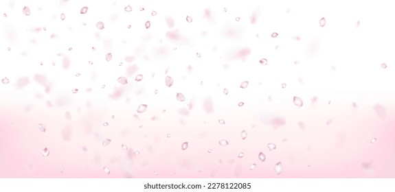 Cherry Sakura Petals Confetti. Elegante Textura Femenina Premium. El diseño de los pétalos de cerezo Rose Sakura en Japón está cayendo. Cosméticos Florecientes Y Fondo Noble De Flores. Windy Deja La Pancarta Confetti.