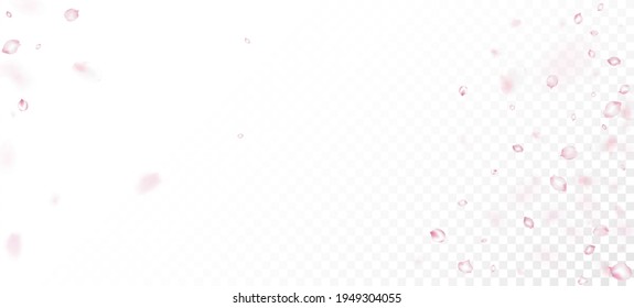 Cherry Sakura Petals Confetti. Falling Japanese Cherry Sakura Rose Petals Banner. Elegant Premium Magic Pattern. Windy Leaves Confetti Frame. Blooming Cosmetics Ad Beautiful Flower Background.