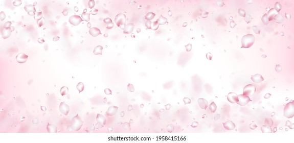 Cherry Sakura Petals Confetti. Falling Japanese Rose Cherry Sakura Petals Border. Blooming Cosmetics Ad Beautiful Floral Background. Noble Premium Magic Pattern. Windy Leaves Confetti Banner.