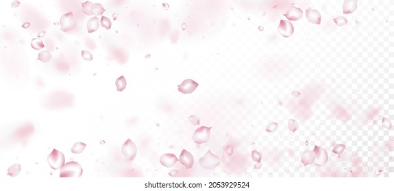 Cherry Sakura Petals Confetti. Falling Japanese Sakura Cherry Rose Petals Frame. Windy Leaves Confetti Poster. Elegant Premium Magic Texture. Blooming Cosmetics Ad Noble Floral Background.