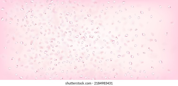 Cherry Sakura Petals Confetti. Caída del marco de los pétalos de cerezo de rosa Sakura japonés. Windy Deja El Diseño Confetti. Cosméticos Florecientes Y Fondo De Flor Elegante. Hermoso Patrón Femenino Premium.