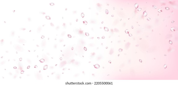 Cherry Sakura Petals Confetti. Afiche japonés de la caída de los pétalos de cerezo de rosa Sakura. Windy Deja La Pancarta Confetti. Textura Femenina Noble Y Rico VIP. Cosméticos Florecientes Y Hermoso Fondo Floral.