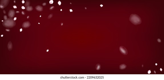 Cherry Sakura Petals Confetti. Falling Japanese Cherry Sakura Rose Petals Frame. Female Rich VIP Tender Texture. Windy Leaves Confetti Poster. Blooming Cosmetics Ad Beautiful Flower Background.