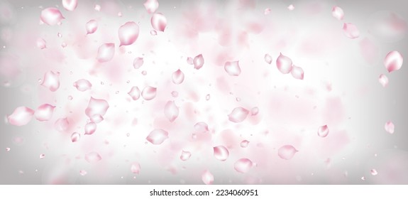 Cherry Sakura Petals Confetti. Falling Japanese Cherry Rose Sakura Petals Frame. Blooming Cosmetics Ad Beautiful Floral Background. Windy Leaves Confetti Poster. Female Premium Pastel Pattern.