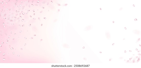 Cherry Sakura Petals Confetti. Falling Japanese Rose Cherry Sakura Petals Banner. Windy Leaves Confetti Border. Blooming Cosmetics Ad Female Floral Background. Noble Rich VIP Tender Texture.