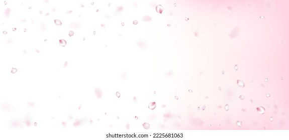 Cherry Sakura Petals Confetti. Female Rich VIP Pastel Texture. Blooming Cosmetics Ad Beautiful Flower Background. Windy Leaves Confetti Border. Flying Japanese Rose Sakura Cherry Petals Design.