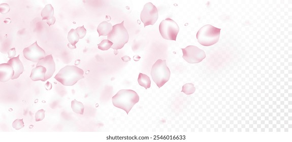 Cherry Sakura Petals Confetti. Female Rich VIP Tender Texture. Flying Japanese Cherry Sakura Rose Petals Banner. Windy Leaves Confetti Design. Blooming Cosmetics Ad Beautiful Floral Background.