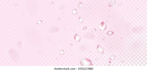 Cherry Sakura Petals Confetti. Flying Japanese Rose Sakura Cherry Petals Border. Windy Leaves Confetti Design. Blooming Cosmetics Ad Female Floral Background. Noble Rich VIP Magic Pattern.