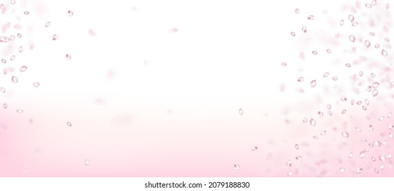 Cherry Sakura Petals Confetti. Flying Japanese Rose Sakura Cherry Petals Banner. Beautiful Rich VIP Magic Texture. Windy Leaves Confetti Frame. Blooming Cosmetics Ad Noble Flower Background.