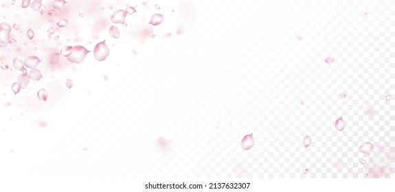 Cherry Sakura Petals Confetti. Flying Japanese Cherry Sakura Rose Petals Border. Noble Rich VIP Tender Pattern. Blooming Cosmetics Ad Female Floral Background. Windy Leaves Confetti Frame.