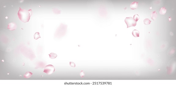Cherry Sakura Petals Confetti. Flying Japanese Rose Cherry Sakura Petals Frame. Blooming Cosmetics Ad Beautiful Flower Background. Windy Leaves Confetti Design. Female Rich VIP Tender Texture.