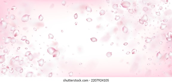 Cherry Sakura Petals Confetti. Noble Premium Feminine Texture. Windy Leaves Confetti Border. Flying Japanese Cherry Rose Sakura Petals Frame. Blooming Cosmetics Ad Elegant Flower Background.