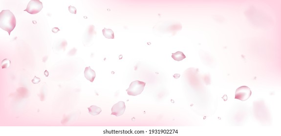 Cherry Sakura Petals Confetti. Windy Deja El Marco Confetti. Cosméticos Florecientes Y Hermoso Fondo Floral. Afiche de los Pétalos de Sakura de las Rosas Japonesas que Caen. Elegante Patrón de Pastel VIP Rico.