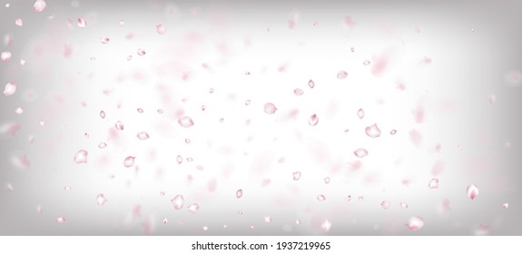 Cherry Sakura Petals Confetti. Windy Leaves Confetti Border. Falling Japanese Rose Cherry Sakura Petals Poster. Female Rich VIP Pastel Pattern. Blooming Cosmetics Ad Noble Floral Background.