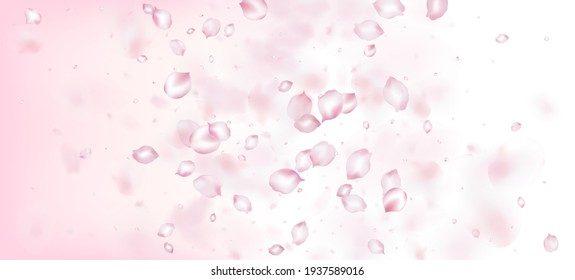 Cherry Sakura Petals Confetti. Windy Deja El Diseño Confetti. Cosméticos Florecientes Y Fondo Floral Noble. Hermoso Patrón de acuarela VIP Rico. Afiche de los Pétalos de rosa de cerezo Sakura.