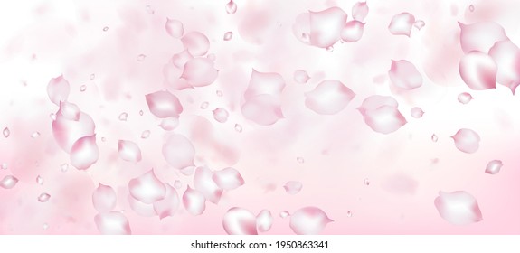Cherry Sakura Petals Confetti. Windy Leaves Confetti Banner. Beautiful Rich VIP Tender Pattern. Falling Japanese Rose Cherry Sakura Petals Border. Blooming Cosmetics Ad Elegant Flower Background.