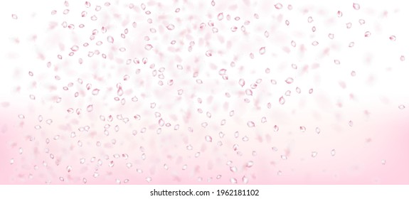 Cherry Sakura Petals Confetti. Windy deja pancarta de Confetti. Cosméticos Florecientes Y Fondo Floral Elegante. Noble y rica textura mágica VIP. Diseño de Pétalos de cerezo Rose Sakura.