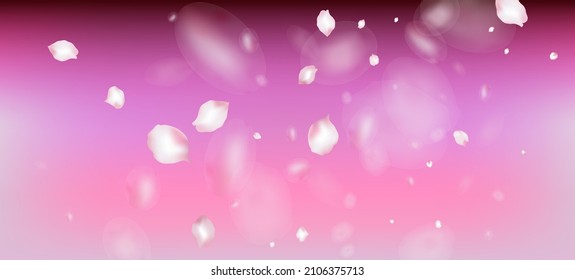 Cherry Sakura Petals Confetti. Windy Leaves Confetti Poster. Falling Japanese Cherry Rose Sakura Petals Banner. Blooming Cosmetics Ad Elegant Flower Background. Female Rich VIP Pastel Pattern.