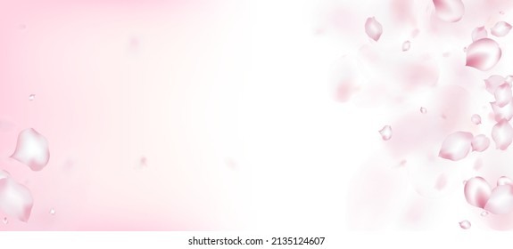 Cherry Sakura Petals Confetti. Windy Leaves Confetti Poster. Fallend japanische Kirsche Rose Sakura Petals Design. Blühende Kosmetik und schöner floraler Hintergrund. Noble Rich VIP Tender Textur.