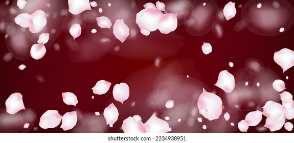 Cherry Sakura Petals Confetti. Wind Blätter Konfetti Rahmen. Blühende Kosmetik und schöner floraler Hintergrund. Weibliche Premium-Magic-Muster. Fliegender japanischer Sakura Rose Kirschtorten-Grenze.
