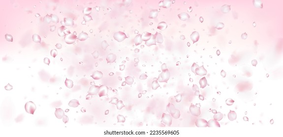 Cherry Sakura Petals Confetti. Windy Leaves Confetti Frame. Female Premium Pastel Pattern. Blooming Cosmetics Ad Noble Flower Background. Flying Japanese Cherry Sakura Rose Petals Design.