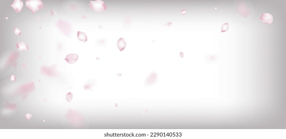 Cherry Sakura Petals Confetti. Windy Leaves Confetti Border. Flying Japanese Rose Sakura Cherry Petals Poster. Beautiful Rich VIP Magic Pattern. Blooming Cosmetics Ad Female Flower Background.