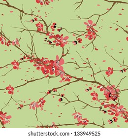 cherry or sakura seamless pattern background