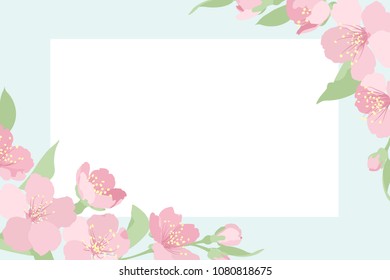 Cherry sakura tree blossom. Rectangular border frame card template. Corners decorated with pink blooming flowers. Light blue white background. Placeholder for text title. Vector design illustration.