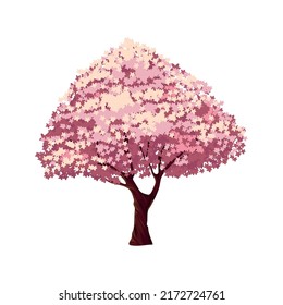 Kirschensakura-Baumsymbol einzeln