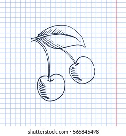 cherry scetch. vector