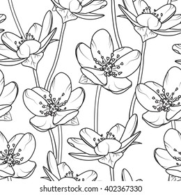 Cherry seamless background. Black outline on white. Flowers pattern.