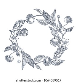 Cherry set. Hand drawn berry isolated on white background. Summer fruit engraved vector style illustration. Great for label, poster, print.