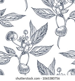 Cherry set. Hand drawn berry isolated on white background. Summer fruit engraved vector style illustration. Great for label, poster, print. Seamless pattern